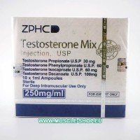 Mélange de testostérone (Sustanon) 250 mg/ml 10x1 Ampoules ZPHC