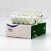 Boldenone Undecylenate - Equibol - 10x1ml 200 mg/ml